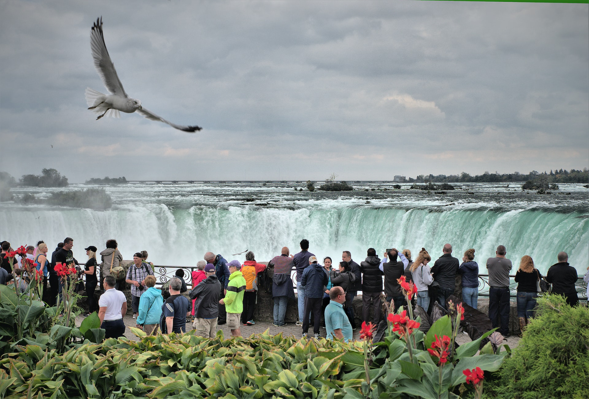 Tourist Visiting Canada Niagara Falls